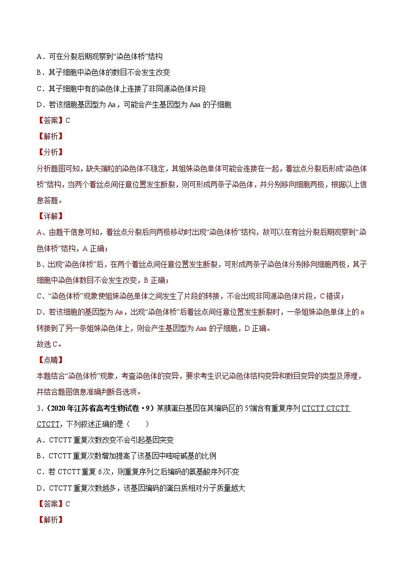 高中生物高考第八单元 生物的变异、育种与进化（作业）第2页