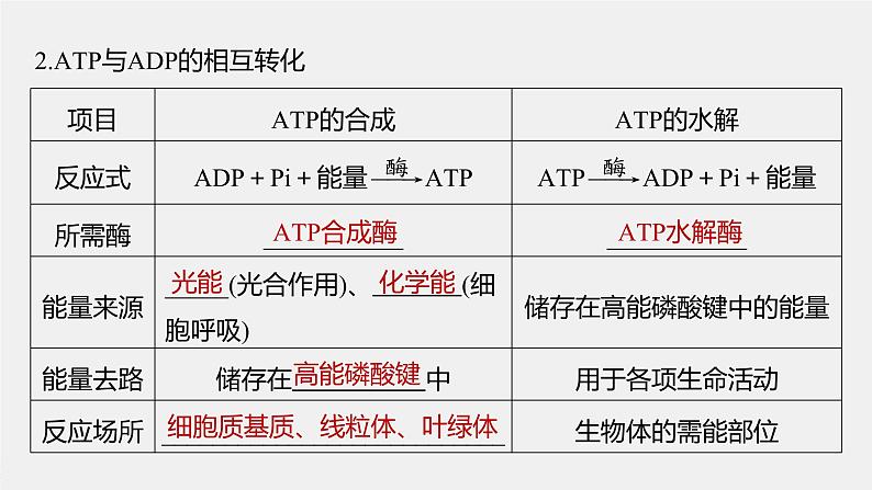 高中生物高考2022年高考生物一轮复习 第3单元 第8讲　ATP和细胞呼吸课件PPT07