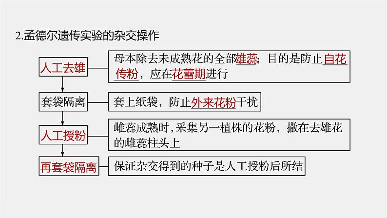 高中生物高考2022年高考生物一轮复习 第5单元 第14讲　基因的分离定律课件PPT第7页