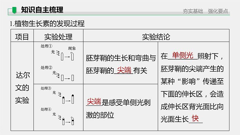 高中生物高考2022年高考生物一轮复习 第8单元 第27讲　植物的激素调节课件PPT第5页