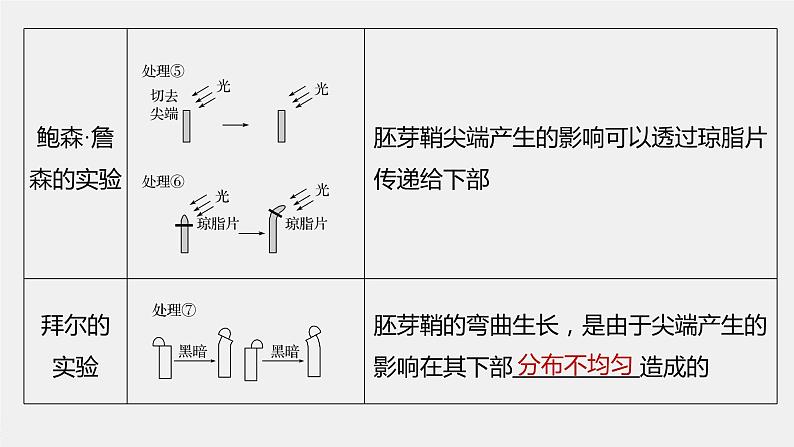 高中生物高考2022年高考生物一轮复习 第8单元 第27讲　植物的激素调节课件PPT第6页