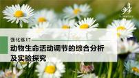 高中生物高考2022年高考生物一轮复习 第8单元 强化练17　动物生命活动调节的综合分析及实验探究课件PPT