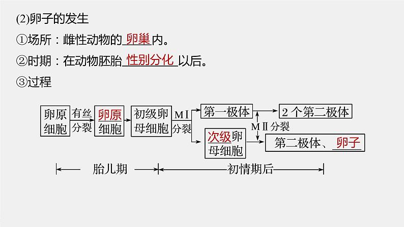 高中生物高考2022年高考生物一轮复习 第10单元 第35讲　胚胎工程与生物技术的安全性和伦理问题课件PPT06