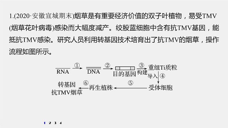 高中生物高考2022年高考生物一轮复习 第10单元 强化练22　基因工程的操作程序课件PPT02