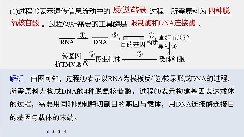 高中生物高考2022年高考生物一轮复习 第10单元 强化练22　基因工程的操作程序课件PPT03