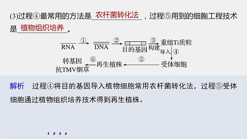 高中生物高考2022年高考生物一轮复习 第10单元 强化练22　基因工程的操作程序课件PPT05