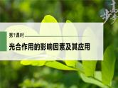 高中生物高考2023年高考生物一轮复习（新人教新高考） 第3单元 第7课时　光合作用的影响因素及其应用课件PPT