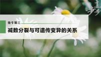 高中生物高考2023年高考生物一轮复习（新人教新高考） 第4单元 微专题三　减数分裂与可遗传变异的关系课件PPT