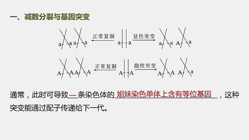 高中生物高考2023年高考生物一轮复习（新人教新高考） 第4单元 微专题三　减数分裂与可遗传变异的关系课件PPT第2页