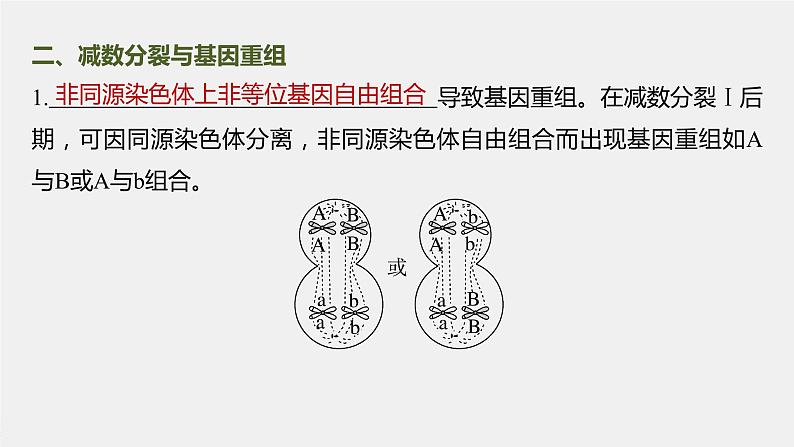 高中生物高考2023年高考生物一轮复习（新人教新高考） 第4单元 微专题三　减数分裂与可遗传变异的关系课件PPT第3页