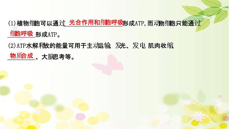 高中生物高考2022届新教材一轮复习人教版 第三单元 第1课 ATP和酶 课件第8页