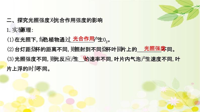 高中生物高考2022届新教材一轮复习人教版 第三单元 第4课 影响光合作用的因素及光合作用和细胞呼吸的关系 课件第6页