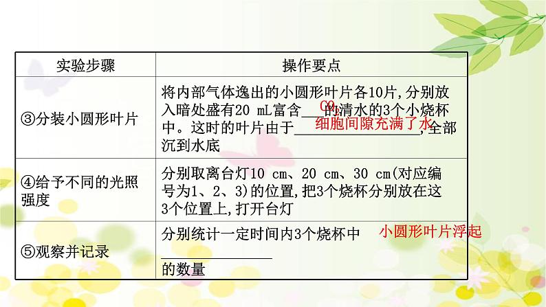 高中生物高考2022届新教材一轮复习人教版 第三单元 第4课 影响光合作用的因素及光合作用和细胞呼吸的关系 课件第8页