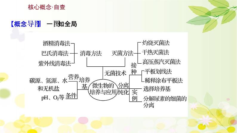 高中生物高考2022届新教材一轮复习人教版 第十单元 第2课 微生物的培养与应用 课件第3页