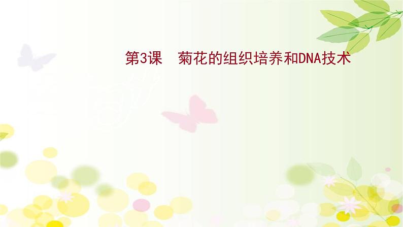 高中生物高考2022届新教材一轮复习人教版 第十单元 第3课 菊花的组织培养和DNA技术 课件第1页