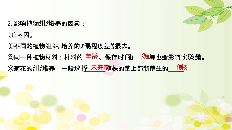 高中生物高考2022届新教材一轮复习人教版 第十单元 第3课 菊花的组织培养和DNA技术 课件第6页