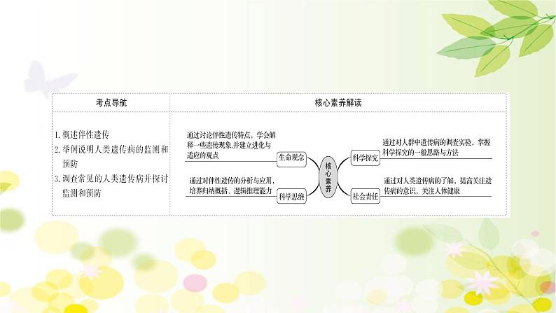 高中生物高考2022届新教材一轮复习人教版 第五单元 第3课 基因在染色体上、伴性遗传与人类遗传病 课件第2页