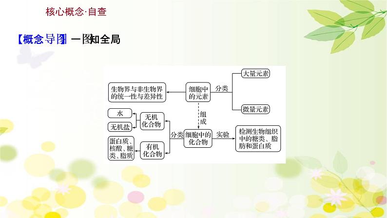 高中生物高考2022届新教材一轮复习人教版 第一单元 第2课 细胞中的无机物、糖类和脂质 课件第3页