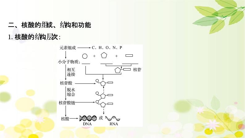 高中生物高考2022届新教材一轮复习人教版 第一单元 第3课 蛋白质和核酸 课件第7页