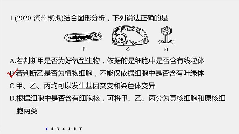 高中生物高考2022年高考生物一轮复习 第2单元 强化练2　细胞的亚显微结构与功能课件PPT第2页