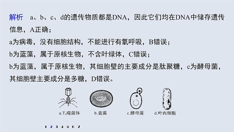 高中生物高考2022年高考生物一轮复习 第2单元 强化练2　细胞的亚显微结构与功能课件PPT第5页