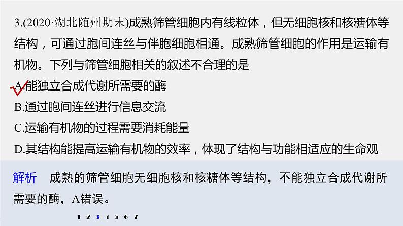 高中生物高考2022年高考生物一轮复习 第2单元 强化练2　细胞的亚显微结构与功能课件PPT第6页