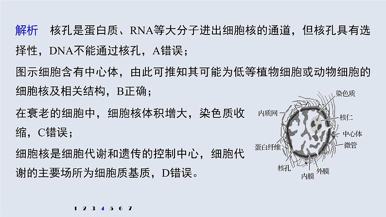 高中生物高考2022年高考生物一轮复习 第2单元 强化练2　细胞的亚显微结构与功能课件PPT第8页