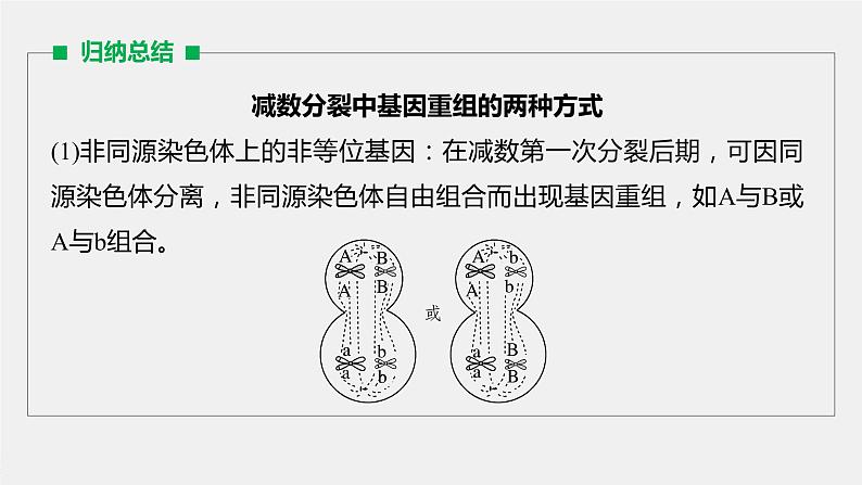 高中生物高考2022年高考生物一轮复习 第4单元 第12讲　热点题型二　减数分裂与可遗传变异的关系分析课件PPT第4页