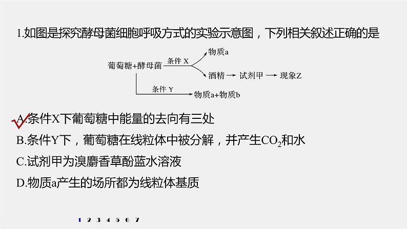 高中生物高考2022年高考生物一轮复习 第3单元 强化练5　有氧呼吸和无氧呼吸的辨析课件PPT第2页