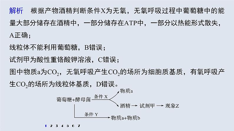 高中生物高考2022年高考生物一轮复习 第3单元 强化练5　有氧呼吸和无氧呼吸的辨析课件PPT第3页