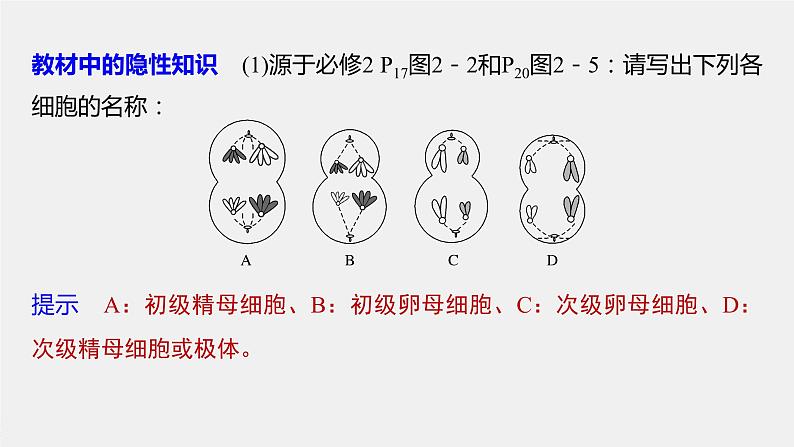 高中生物高考2022年高考生物一轮复习 第4单元 第12讲　减数分裂和受精作用课件PPT08