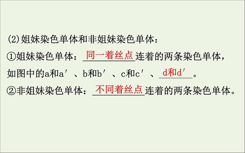 高中生物高考2020届高考生物一轮复习4 2细胞的减数分裂及受精作用课件 71第8页