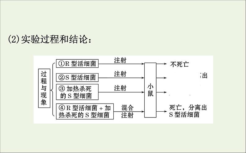 高中生物高考2020届高考生物一轮复习6 1DNA是主要的遗传物质课件 76第5页