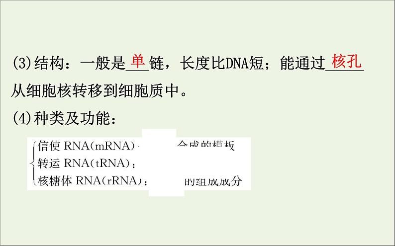 高中生物高考2020届高考生物一轮复习6 3基因的表达课件 78第6页