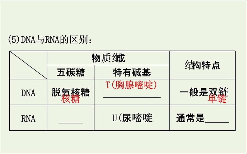 高中生物高考2020届高考生物一轮复习6 3基因的表达课件 78第7页