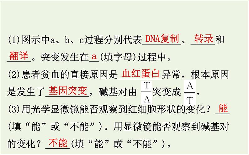 高中生物高考2020届高考生物一轮复习7 1基因突变和基因重组课件 79第5页