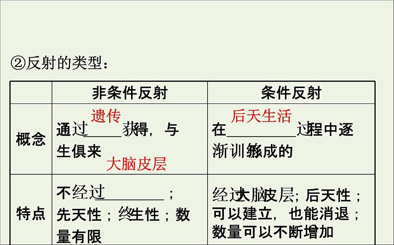 高中生物高考2020届高考生物一轮复习8 2通过神经系统的调节课件 84第8页