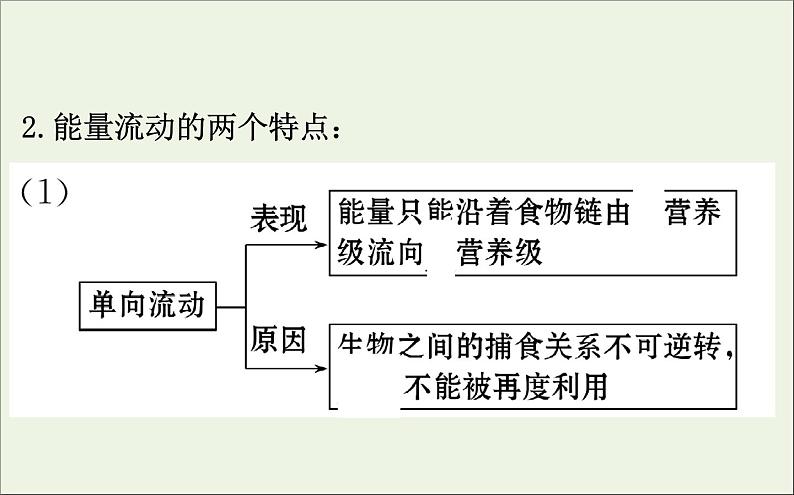 高中生物高考2020届高考生物一轮复习9 4生态系统的能量流动和物质循环课件 91第7页