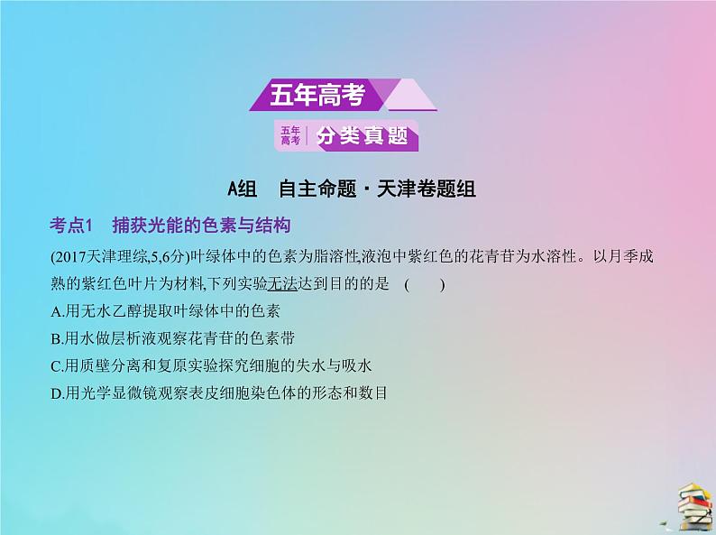 高中生物高考2020届高考生物一轮复习专题6光合作用课件第2页