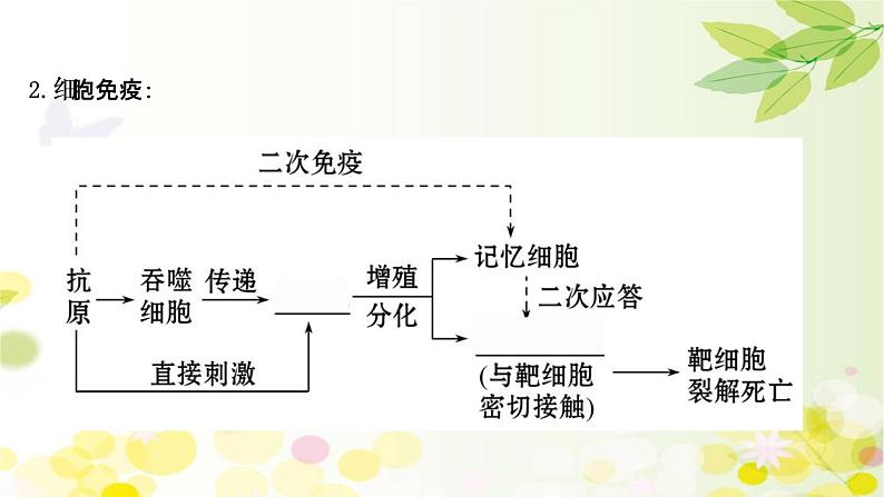 高中生物高考2022届新教材一轮复习人教版 第八单元 第4课 免 疫 调 节 课件第8页