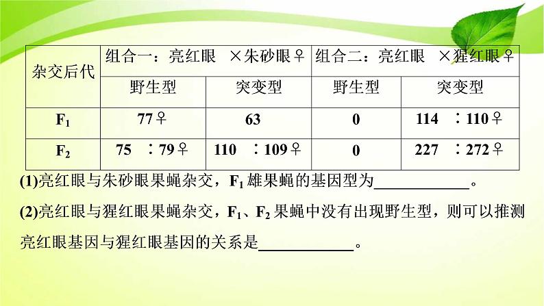 高中生物高考2022年二轮复习：加强提升课(六)　基因位置的判定及相关实验设计突破课件PPT第5页