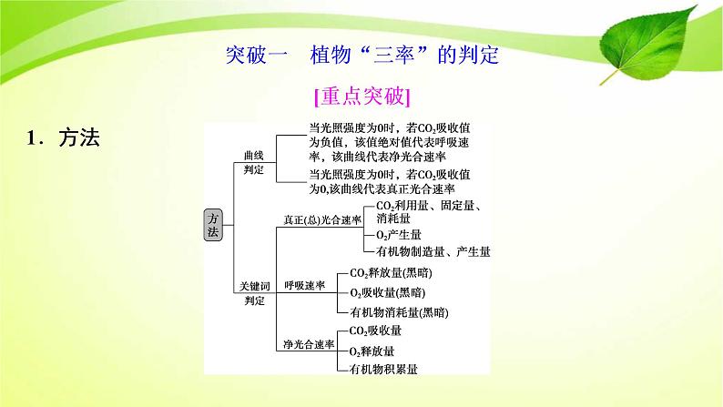 高中生物高考2022年二轮复习：加强提升课(三)　辨析“三率”及“三率”测定的5种实验模型课件PPT第2页