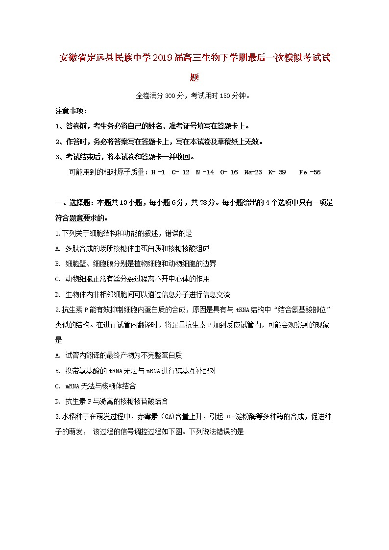 高中生物高考安徽省定远县民族中学2019届高三生物下学期最后一次模拟考试试题第1页