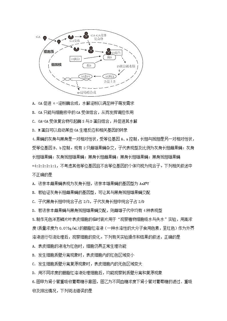 高中生物高考安徽省定远县民族中学2019届高三生物下学期最后一次模拟考试试题第2页