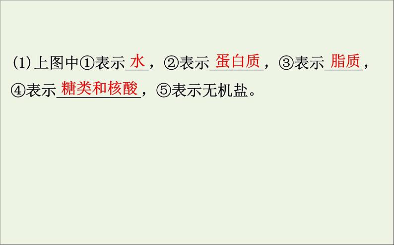 高中生物高考2020届高考生物一轮复习1 2细胞中的元素和化合物课件第7页