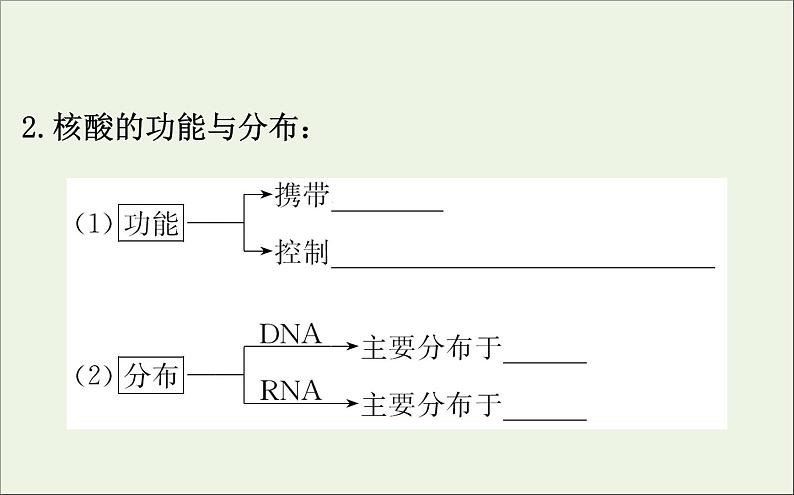 高中生物高考2020届高考生物一轮复习1 4核酸糖类和脂质课件第5页