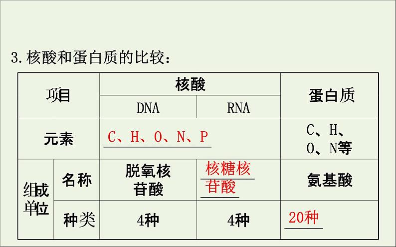 高中生物高考2020届高考生物一轮复习1 4核酸糖类和脂质课件第6页