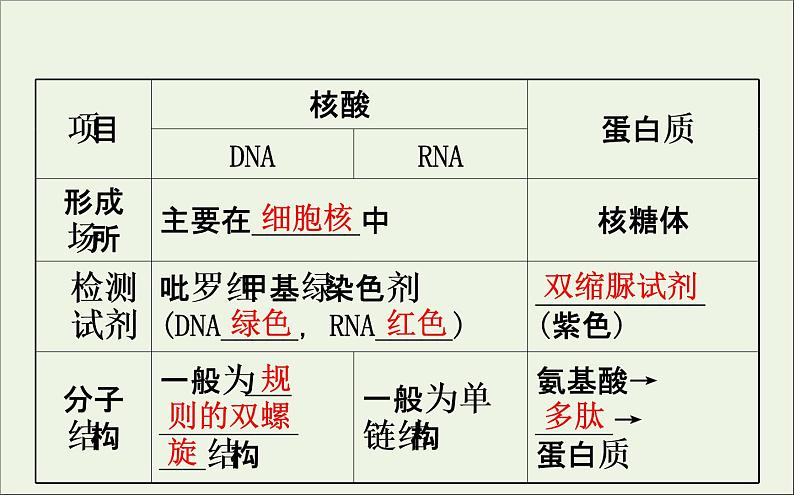 高中生物高考2020届高考生物一轮复习1 4核酸糖类和脂质课件第7页