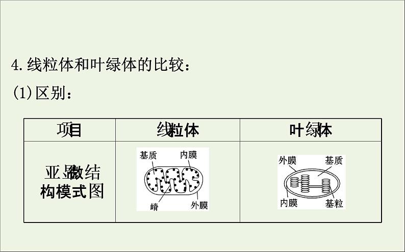 高中生物高考2020届高考生物一轮复习2 2细胞器和生物膜系统课件 58第6页