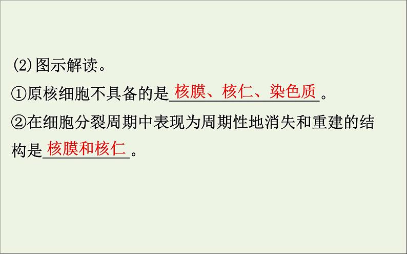 高中生物高考2020届高考生物一轮复习2 3细胞核__系统的控制中心课件 59第5页